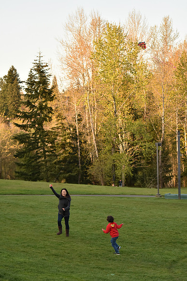 D7200-2-449_ISO 640_1-2000 sec at f - 2.8_70.0-200.0 mm f-2.8 at 75 mm