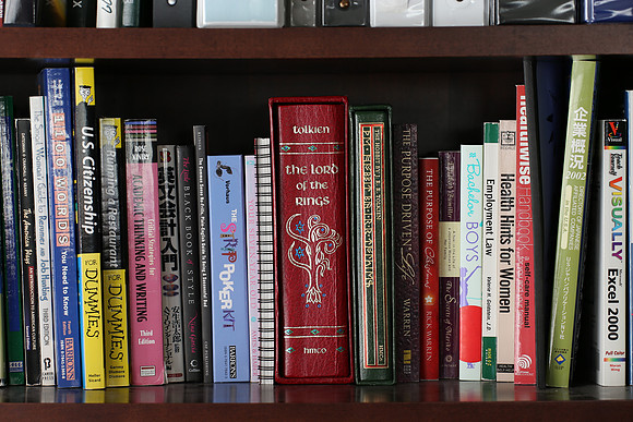 Sigma 120-300 Bookshelf-7_ISO 100_0.4 sec at f - 5.6_120-300mm at 120 mm - DAYTIME
