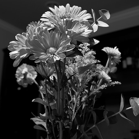 Mono+G FilmSim1x1Aspect-1_ISO 200_1.0 sec at f - 5.6_XF23mmF1.4 R at 23 mm