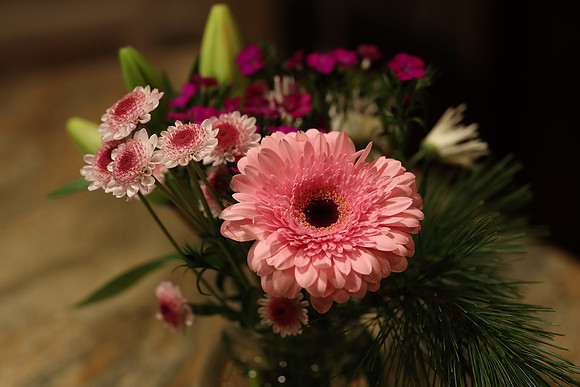 Sig85ArtFlowers-23 Canon EOS-1D X Mark II 85mm F1.4 DG HSM - Art 016 85 mm 1-125 sec at f - 3.2 ISO 1600_