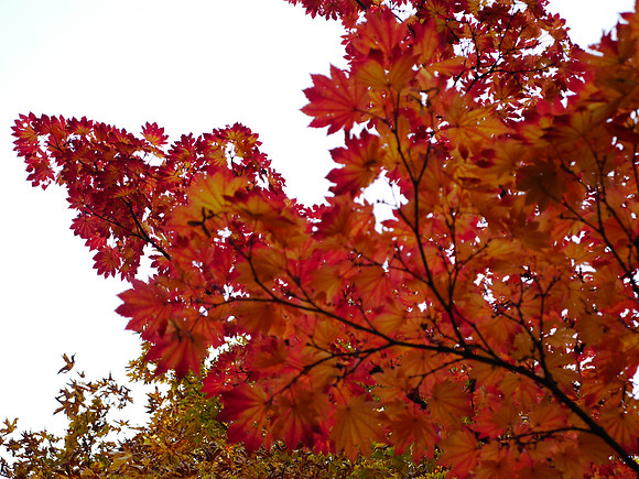 GF6-289_ISO 200_1-80 sec at f - 5.6_LUMIX G VARIO 14-42-F3.5-5.6 II at 37 mm