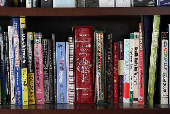 Sigma 120-300 Bookshelf-5_ISO 100_1-5 sec at f - 4.0_120-300mm at 120 mm - DAYTIME
