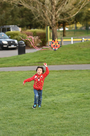 D7200-2-391_ISO 1600_1-2000 sec at f - 2.8_70.0-200.0 mm f-2.8 at 110 mm