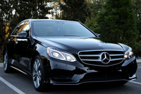 2014 Mercedes-Benz E350 - Bellevue Botanical-27 Canon EOS-1D X Mark II EF24-70mm f-2.8L II USM 67 mm 1-320 sec at f - 11 ISO 2000_