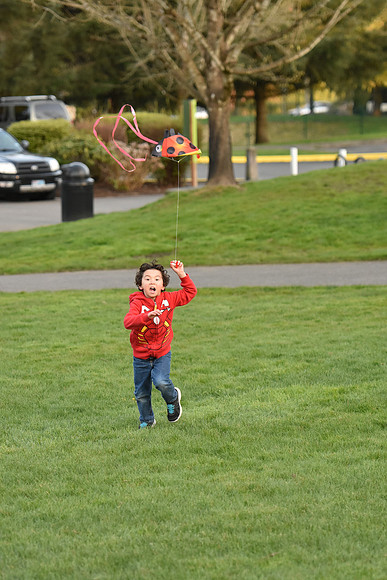 D7200-2-389_ISO 1600_1-2000 sec at f - 2.8_70.0-200.0 mm f-2.8 at 110 mm