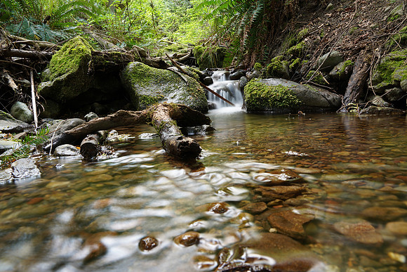 a7r4-66 [4.0 sec at f - 16 24 mm Sony ILCE-7RM4 FE 24-105mm F4 G OSS]