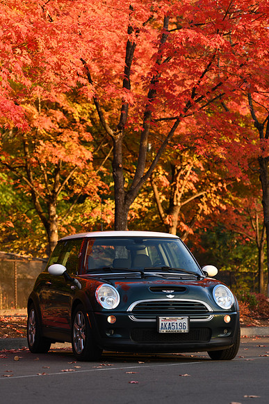 D850 Fall-84 NIKON D850 135.0 mm f-1.8 135 mm 1-200 sec at f - 5.0 ISO 400_