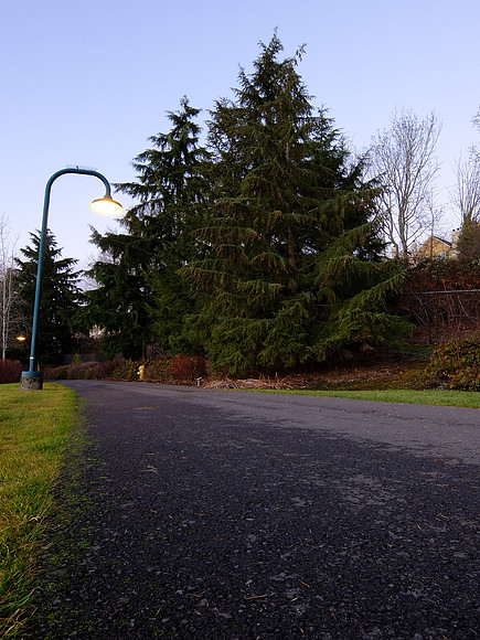XQ1-82_ISO 100_0.5 sec at f - 7.1_ at 6.4 mm