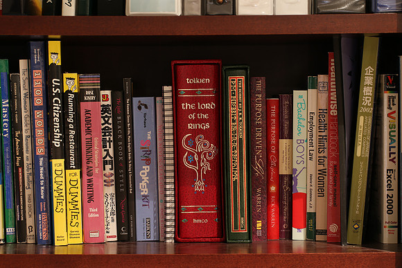Sigma 120-300 Bookshelf-19_ISO 100_20.0 sec at f - 8.0_120-300mm at 120 mm