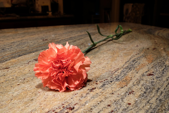 HandheldFlowerSeries-7_ISO 200_2.5 sec at f - 11_XF23mmF1.4 R at 23 mm