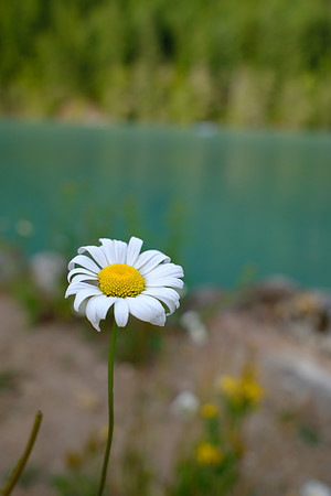 Fuji X100 VI-188