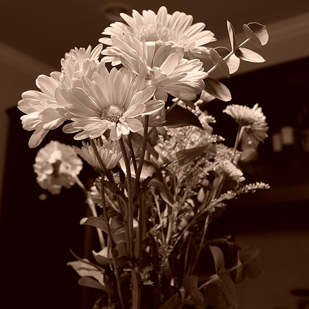 Sepia FilmSim1x1Aspect-10_ISO 200_1.0 sec at f - 5.6_XF23mmF1.4 R at 23 mm