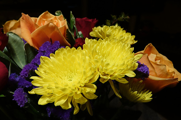 Sony_RX10-163_ISO 800_1-30 sec at f - 5.6_8.8-73.3 mm f-2.8 at 8.81 mm
