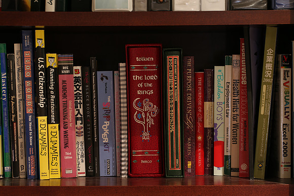 Sigma 120-300 Bookshelf-22_ISO 100_30.0 sec at f - 11_120-300mm at 120 mm