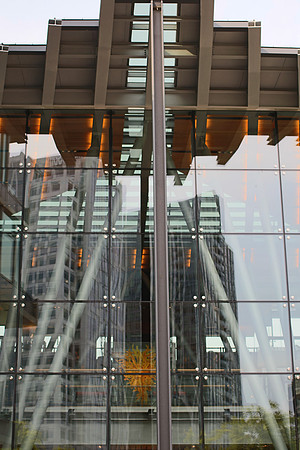 Canon EOS REBEL T4i EF40mm f-2.8 STM at 40 mm LR4 Raw Processing-2