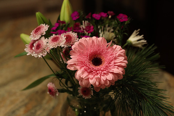 Sig85ArtFlowers-29 Canon EOS-1D X Mark II 85mm F1.4 DG HSM - Art 016 85 mm 1-125 sec at f - 4.5 ISO 3200_