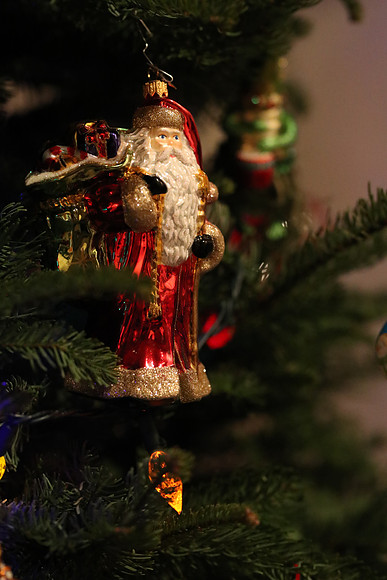 Sig85ArtOrnaments-19 Canon EOS-1D X Mark II 85mm F1.4 DG HSM - Art 016 85 mm 1-160 sec at f - 2.8 ISO 16000_
