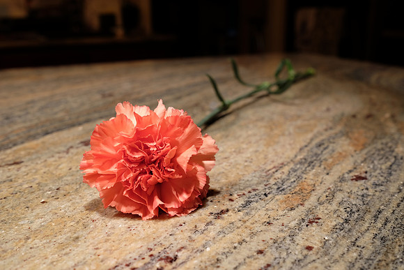 HandheldFlowerSeries-5_ISO 200_0.6 sec at f - 5.6_XF23mmF1.4 R at 23 mm