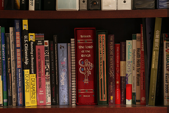 Sigma 120-300 Bookshelf-36_ISO 400_30.0 sec at f - 22_120-300mm at 300 mm