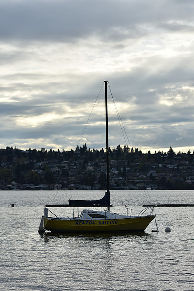 D7200Rev-14_ISO 100_1-1250 sec at f - 4.0_70.0-200.0 mm f-2.8 at 85 mm