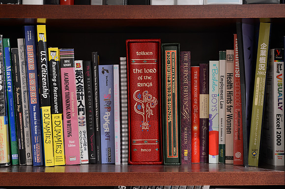 Bookshelf Nikon D4-18_ISO 100_100 mm_15.0 sec at f - 8.0_-1EV