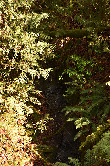 D7200-2-179_ISO 500_1-200 sec at f - 5.6_18.0-140.0 mm f-3.5-5.6 at 66 mm