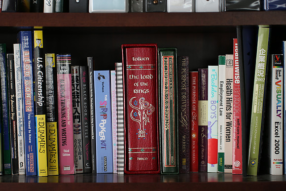 Sigma 120-300 Bookshelf-3_ISO 100_1-10 sec at f - 2.8_120-300mm at 120 mm - DAYTIME