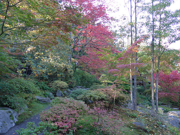 LF1-103_ISO 80_1-80 sec at f - 2.0_ at 6 mm