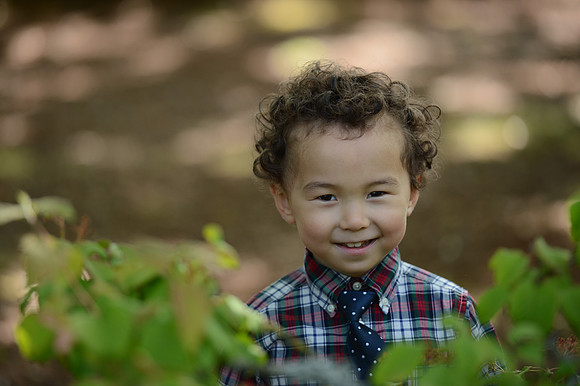 Coulon Park-642