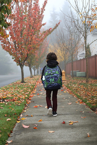 5DM4 Fall-1 Canon EOS 5D Mark IV EF24-70mm f-4L IS USM 50 mm 1-500 sec at f - 4.0 ISO 640_
