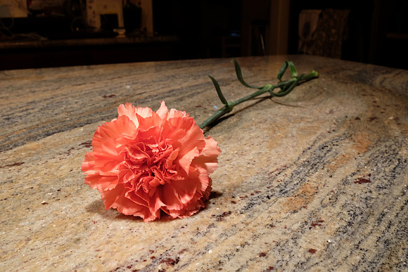 HandheldFlowerSeries-8_ISO 200_5.0 sec at f - 16_XF23mmF1.4 R at 23 mm