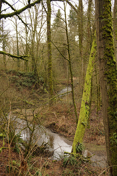 a6000-218-a3000-218_ISO 160_1-60 sec at f - 4.0_E 16-70mm F4 ZA OSS at 28 mm