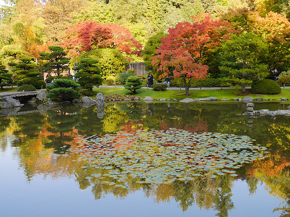 GF6-285_ISO 160_1-60 sec at f - 5.6_LUMIX G VARIO 14-42-F3.5-5.6 II at 20 mm
