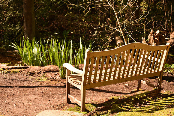 D7200-2-190_ISO 100_1-160 sec at f - 5.6_18.0-140.0 mm f-3.5-5.6 at 32 mm