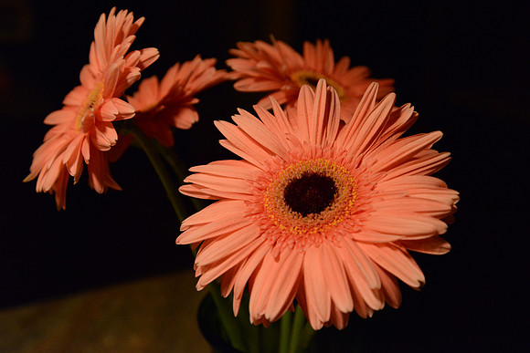 D600-2_ISO 6400_1-125 sec at f - 5.6_24.0-85.0 mm f-3.5-4.5 at 56 mm