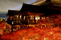 Temples of Kyoto (Unedited)