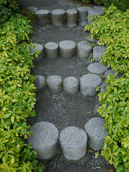 GF6-360_ISO 400_1-60 sec at f - 5.6_LUMIX G VARIO 14-42-F3.5-5.6 II at 20 mm
