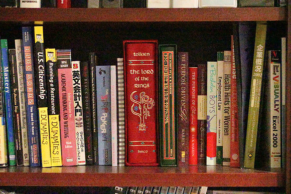 Canon 1DX Bookshelf-26_ISO 204800__1-125 sec at f - 8.0