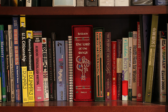 Sigma 120-300 Bookshelf-17_ISO 100_5.0 sec at f - 4.0_120-300mm at 120 mm