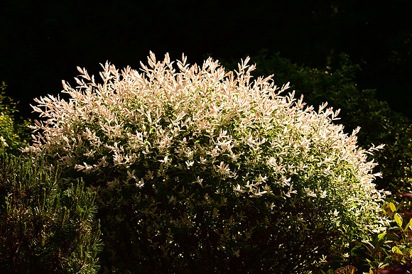 Oregon-764_ISO 180_1-400 sec at f - 9.0_70.0-200.0 mm f-2.8 at 98 mm