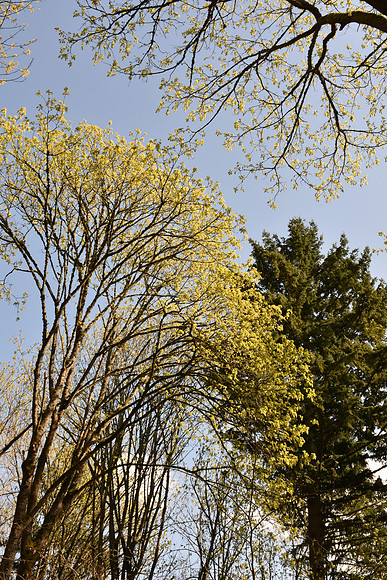 D7200-2-171_ISO 125_1-100 sec at f - 11_18.0-140.0 mm f-3.5-5.6 at 30 mm