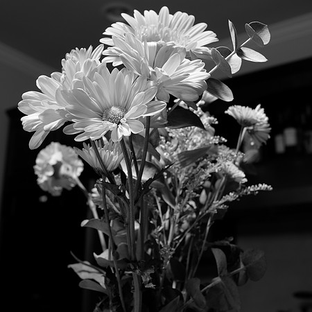 B&W FilmSim1x1Aspect-4_ISO 200_1.0 sec at f - 5.6_XF23mmF1.4 R at 23 mm