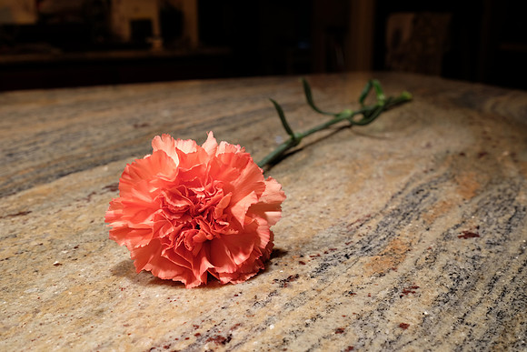 HandheldFlowerSeries-6_ISO 200_1.3 sec at f - 8.0_XF23mmF1.4 R at 23 mm