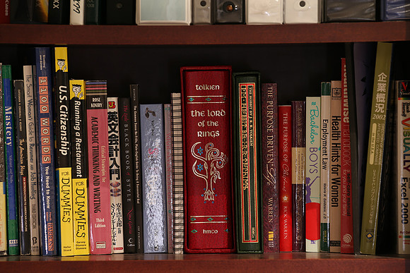 Sigma 120-300 Bookshelf-30_ISO 100_8.0 sec at f - 5.6_120-300mm at 300 mm