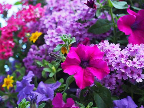 OlympusM5II-963_ISO 250_1-80 sec at f - 4.0_OLYMPUS M.12-40mm F2.8 at 34 mm