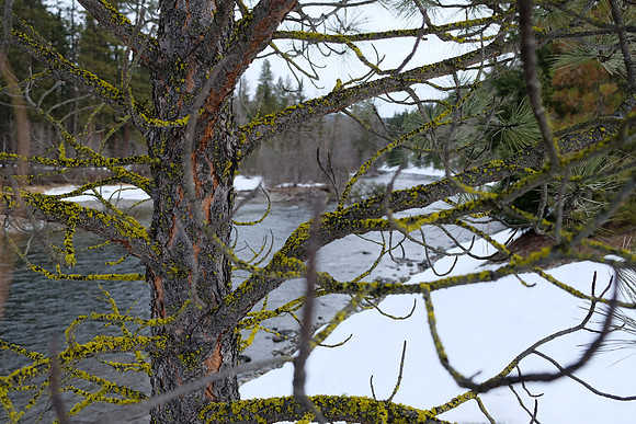 KitLens-122_ISO 400_1-1100 sec at f - 2.8_XF18-55mmF2.8-4 R LM OIS at 18 mm