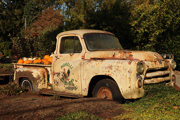 Farm-49 Canon EOS 5D Mark IV EF24-70mm f-4L IS USM 47 mm 1-1250 sec at f - 4.5 ISO 100_