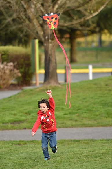 D7200-2-385_ISO 2000_1-2000 sec at f - 2.8_70.0-200.0 mm f-2.8 at 200 mm