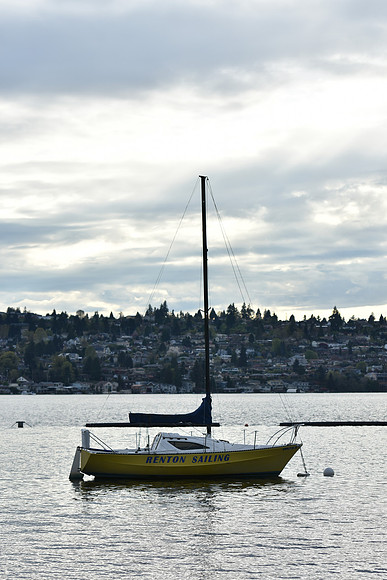 D7200Rev-15_ISO 100_1-640 sec at f - 4.0_70.0-200.0 mm f-2.8 at 85 mm